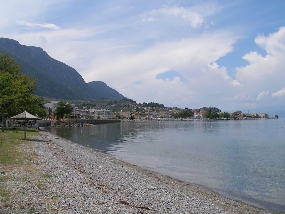 Anastasia - Efthimios Apartments Agios Konstantinos  Екстер'єр фото