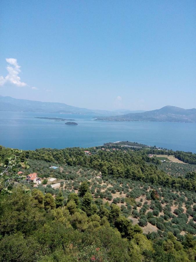 Anastasia - Efthimios Apartments Agios Konstantinos  Екстер'єр фото